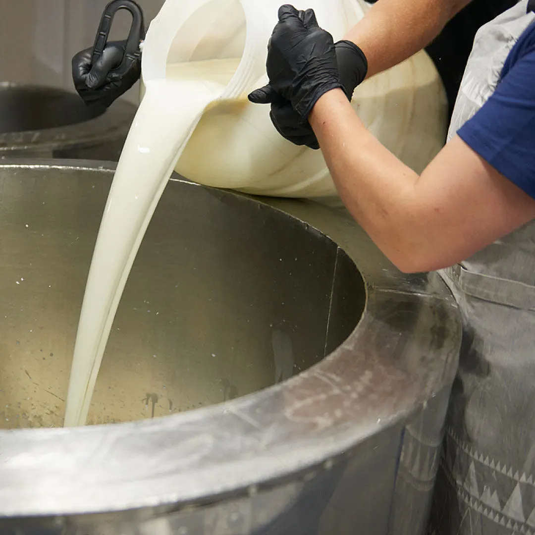 Modern dairy processing tanks